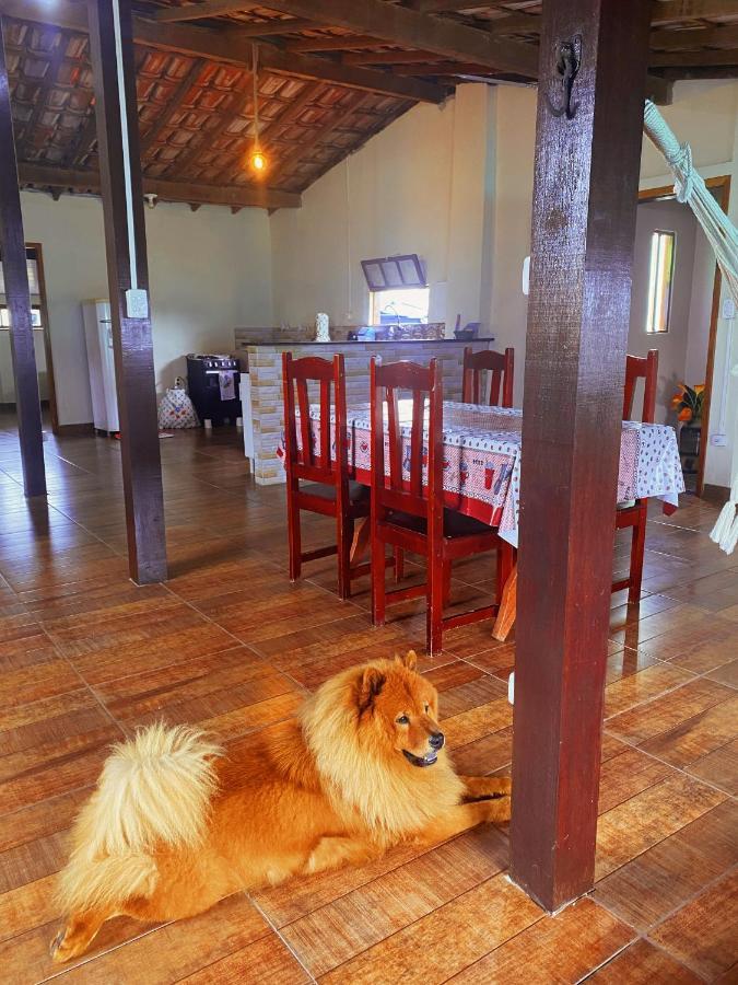 Apartamento Rustico Daire Cabo Frio Dış mekan fotoğraf