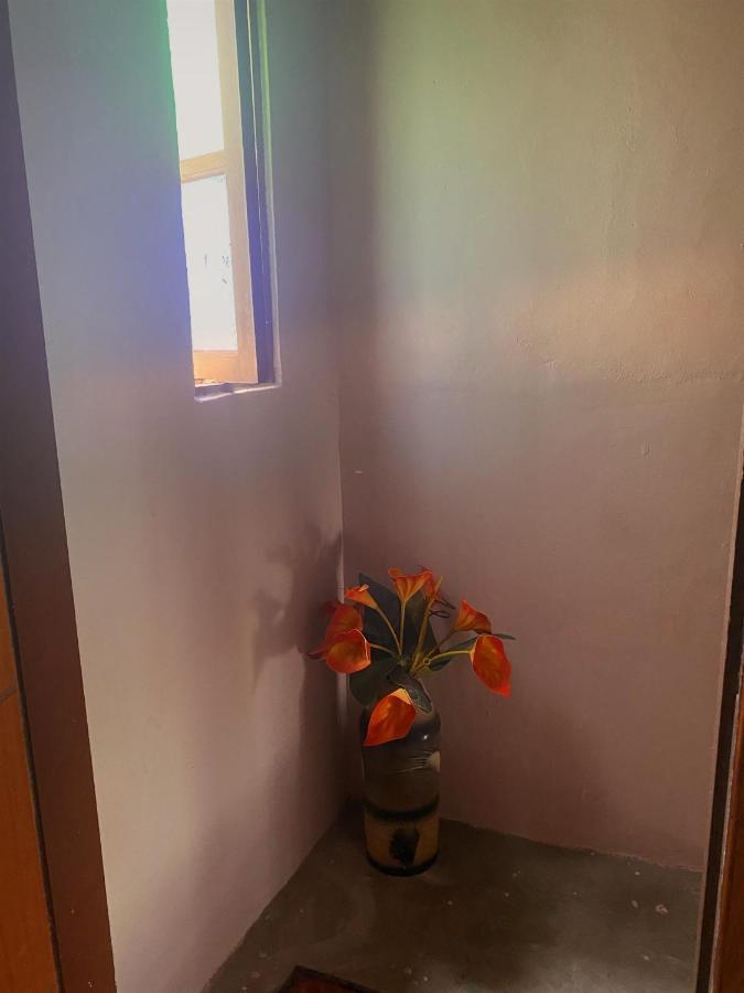 Apartamento Rustico Daire Cabo Frio Dış mekan fotoğraf