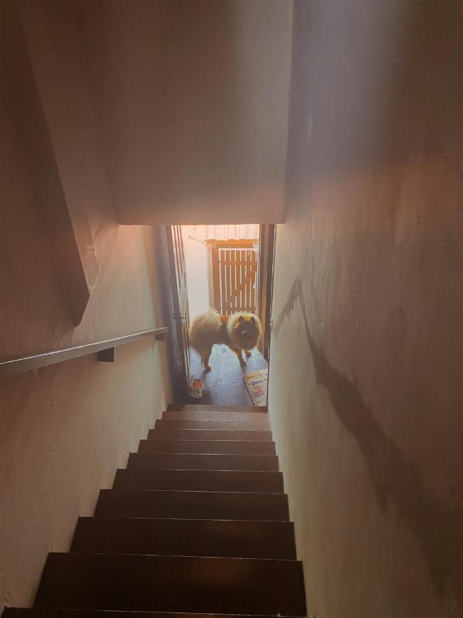 Apartamento Rustico Daire Cabo Frio Dış mekan fotoğraf